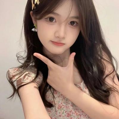女仆琳恩封面